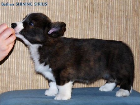 dsc_0531.jpg